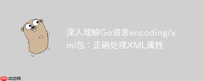 深入理解Go语言encoding/xml包：正确处理XML属性