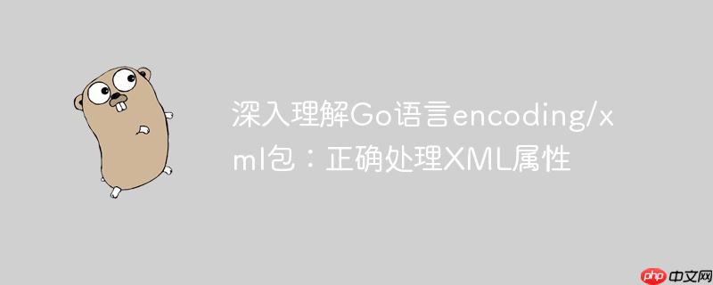 深入理解Go语言encoding/xml包：正确处理XML属性