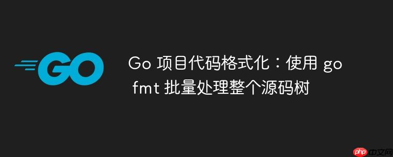 Go 项目代码格式化：使用 go fmt 批量处理整个源码树
