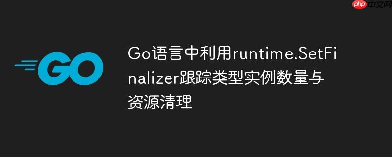 go语言中利用runtime.setfinalizer跟踪类型实例数量与资源清理
