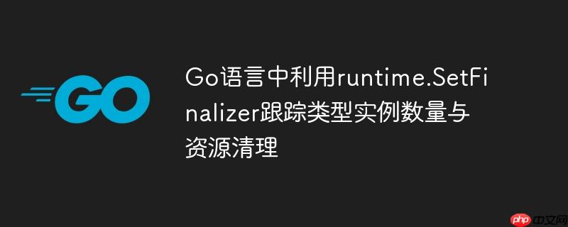 Go语言中利用runtime.SetFinalizer跟踪类型实例数量与资源清理