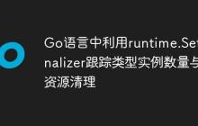 Go语言中利用runtime.SetFinalizer跟踪类型实例数量与资源清理
