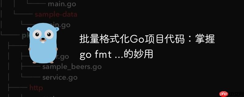 批量格式化Go项目代码：掌握go fmt ...的妙用