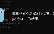 批量格式化Go项目代码：掌握go fmt ...的妙用