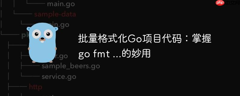 批量格式化Go项目代码：掌握go fmt ...的妙用
