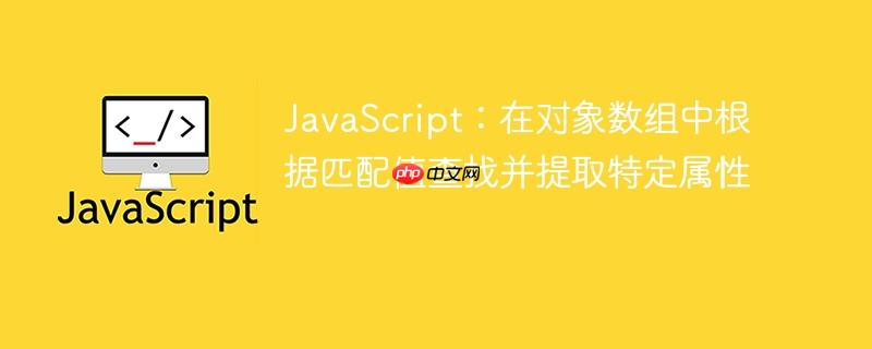 JavaScript:在对象数组中根据匹配值查找并提取特定属性