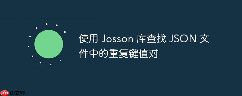 使用 Josson 库查找 JSON 文件中的重复键值对