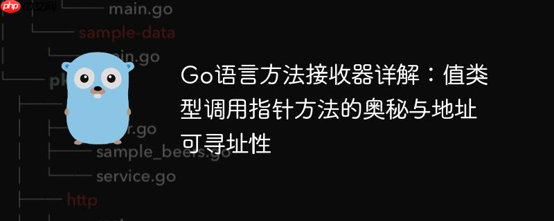 Go语言方法接收器详解:值类型调用指针方法的奥秘与地址可寻址性