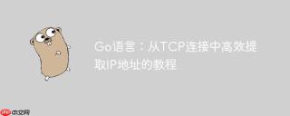 Go语言：从TCP连接中高效提取IP地址的教程