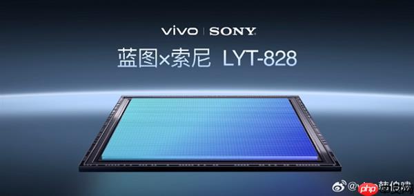 vivo X300 Pro：以双芯协同与蔡司2亿灭霸长焦 提升2025旗舰拍照新标准