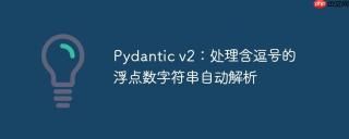 Pydantic v2：处理含逗号的浮点数字符串自动解析