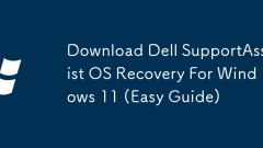 Download Dell SupportAssist OS Recovery For Windows 11 (Easy Guide)