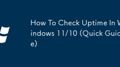 Cara Memeriksa Uptime di Windows 11/10 (Panduan Cepat)