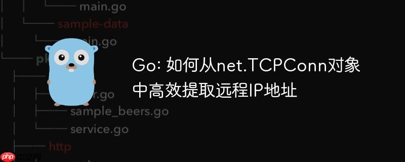 Go: 如何从net.TCPConn对象中高效提取远程IP地址
