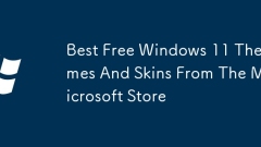 Microsoft Store? ??? ?? Windows 11 ?? ? ??