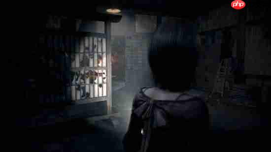 《零:红蝶》重制版和原版对比!进化但是有和谐?