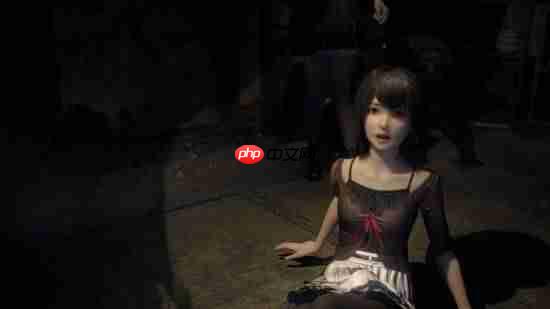 《零:红蝶》重制版和原版对比!进化但是有和谐?