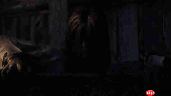 《零:红蝶》重制版和原版对比!进化但是有和谐?