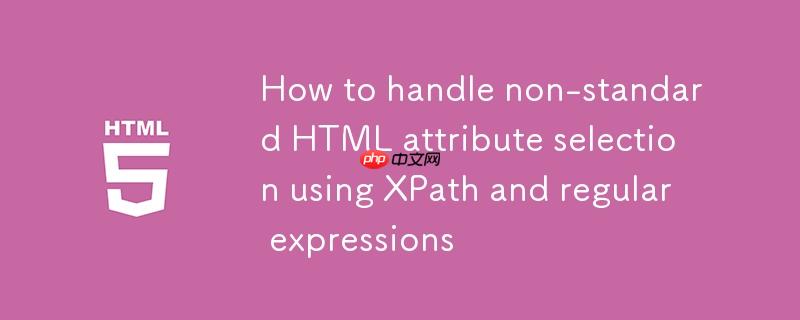 如何使用XPath和正则表达式处理非标准HTML属性选择