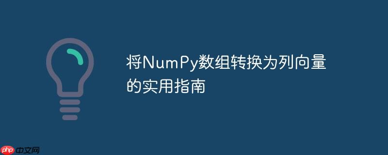 将numpy数组转换为列向量的实用指南