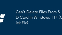 Windows 11?? SD ???? ??? ??? ? ????? (?? ??)