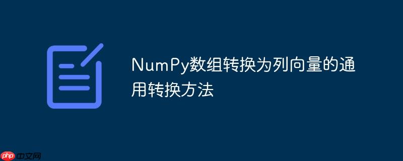 NumPy数组转换为列向量的通用转换方法
