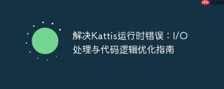 解决Kattis运行时错误：I/O处理与代码逻辑优化指南
