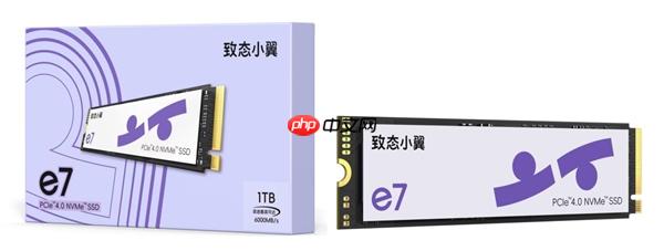 翼启体验!致态五周年发布旗下新品牌“致态小翼”