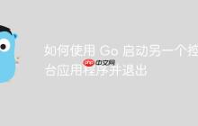 如何使用 Go 启动另一个控制台应用程序并退出