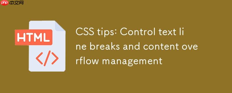 css技巧：控制文本换行与内容溢出管理