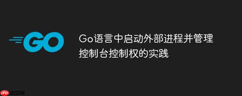Go语言中启动外部进程并管理控制台控制权的实践
