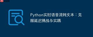 Python实时语音流转文本：克服延迟挑战与实践