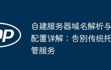 自建服务器域名解析与配置详解：告别传统托管服务