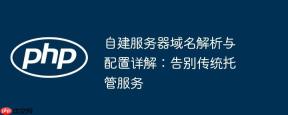 自建服务器域名解析与配置详解：告别传统托管服务