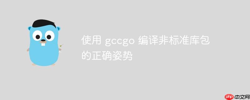 使用 gccgo 编译非标准库包的正确姿势