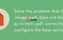 解决 html-pdf 中图片路径不显示问题：正确配置 base 选项