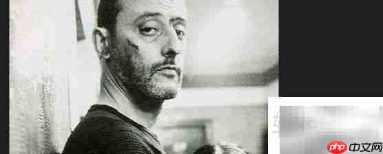 这个杀手不太冷结局解析