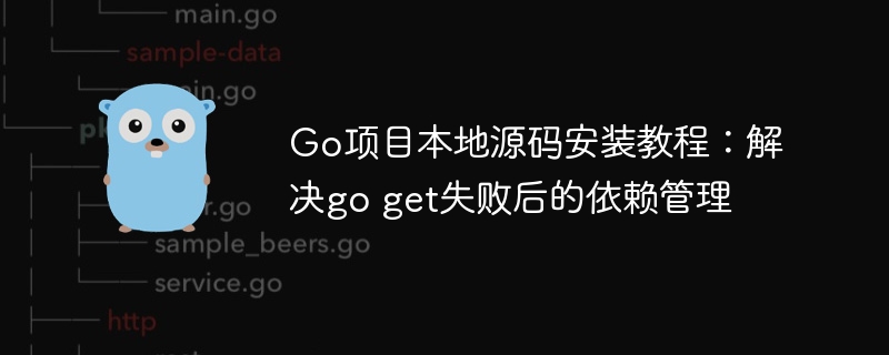 Tutorial for installing the Go project local source code: Solve the dependency management after go get failed