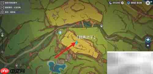 原神来拍映影任务攻略