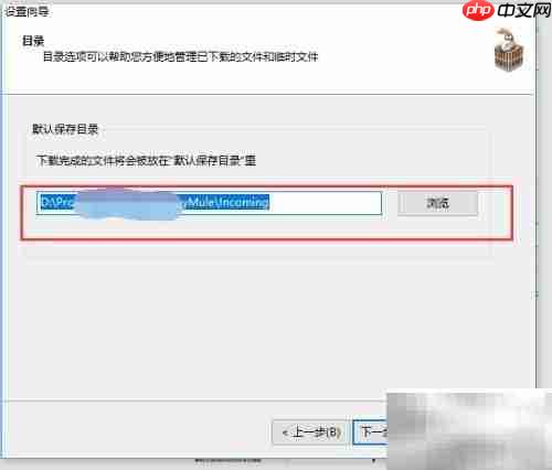 电驴下载电影全攻略