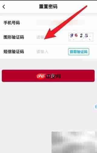 招生系统密码找回指南