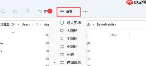 Win11如何展示文件扩展名?Win11展示文件扩展名的方法