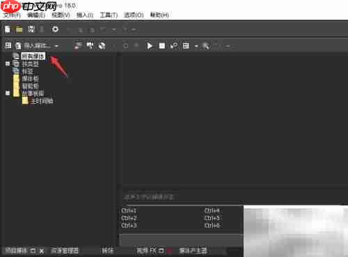 VEGAS Pro开启3D模式教程