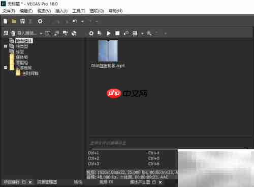 VEGAS Pro开启3D模式教程