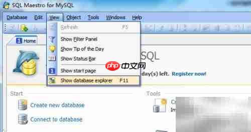 Maestro复制存储过程指南
