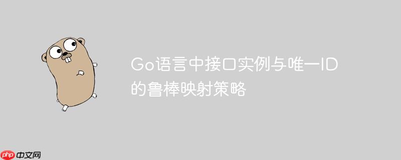 Go语言中接口实例与唯一ID的鲁棒映射策略