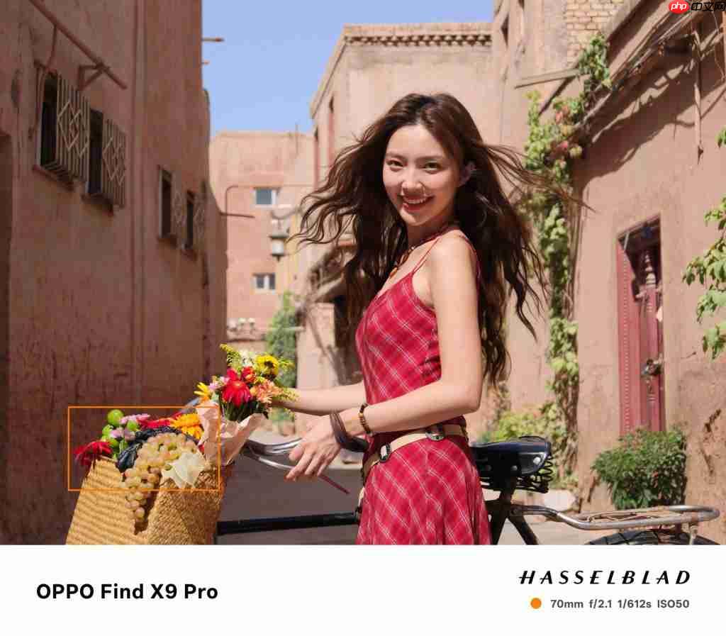 画质革命！OPPO Find X9 系列释出 2 亿像素样张
