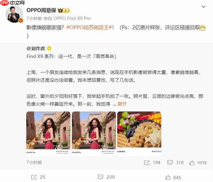画质革命！OPPO Find X9 系列释出 2 亿像素样张