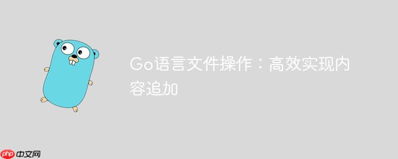 Go语言文件操作:高效实现内容追加