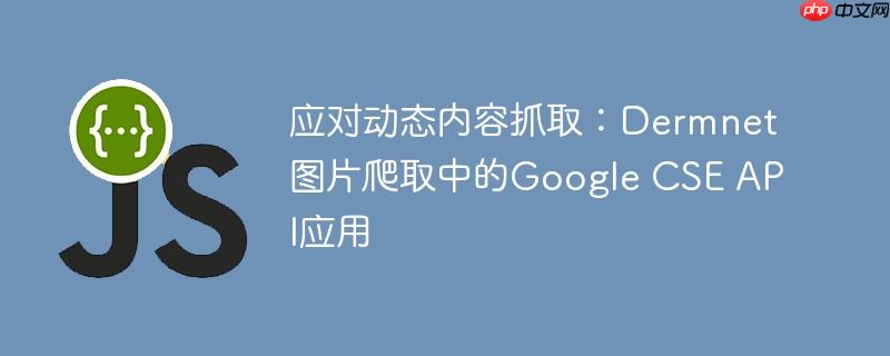 应对动态内容抓取：Dermnet图片爬取中的Google CSE API应用